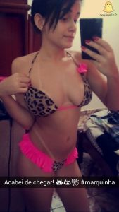 snap de cochonne du département 44